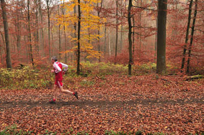 beim 8. Zeiler Waldmarathon 2011