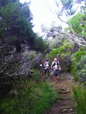 Pfade 2 - Le Grand Raid de la Runion 2013