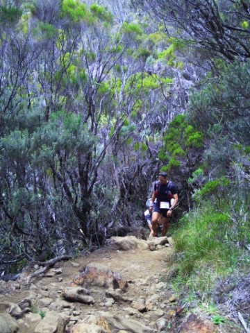 Pfade 9 - Le Grand Raid de la Runion 2013